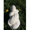 Echeveau (100 g) de laine Mérinos non teintée- Uni et chiné