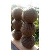 Lot de 6 pelotes (50 g) - Laine mérinos - Coloris Capuccino (bain F)