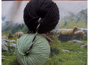 Lot de 7 pelotes laine Mérinos pure (50g) - Coloris Cèdre (Flocky)