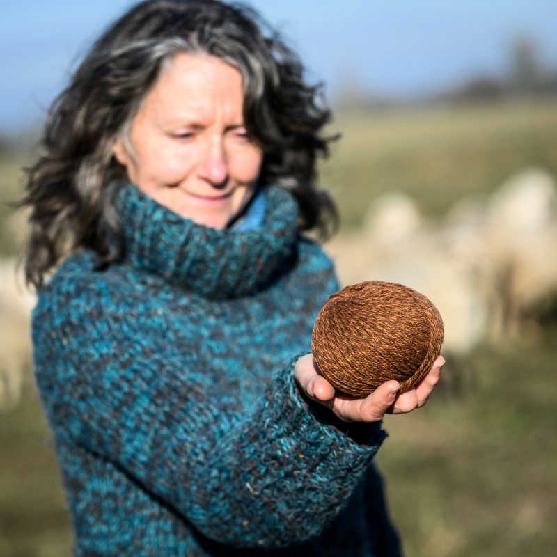 PELOTE LAINE MERINOS -  TEINTES CHINEES - 3 BRINS TOUT EN NUANCES