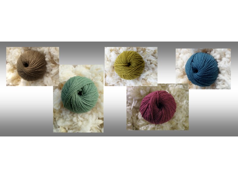 LOT DE 12 PELOTES 100% MERINOS - 5 COLORIS AU CHOIX