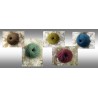 LOT DE 12 PELOTES 100% MERINOS - 5 COLORIS AU CHOIX