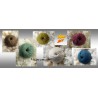LOT DE 12 PELOTES 100% MERINOS - 6 COLORIS en mélange